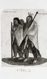 Algonquine, Algonquin