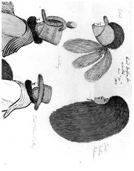 Head Dresses for winter