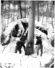 Cutting trees Upper Ottawa River