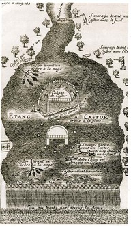 La carte du castor ! habitation, travail du castor, mais aussi différentes façons de tuer le castor... 