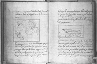 Brief discours des choses plus remarcables que Samuel de Champlain... a recogneues aux Indes occidentales. Bologne