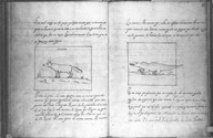 Brief discours des choses plus remarcables que Samuel de Champlain... a recogneues aux Indes occidentales. Turin.