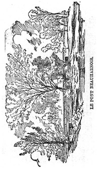 Le pont Beauharnois